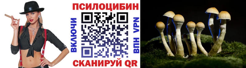 нарко площадка Telegram  Приозерск  Галлюциногенные грибы Psilocybine cubensis 